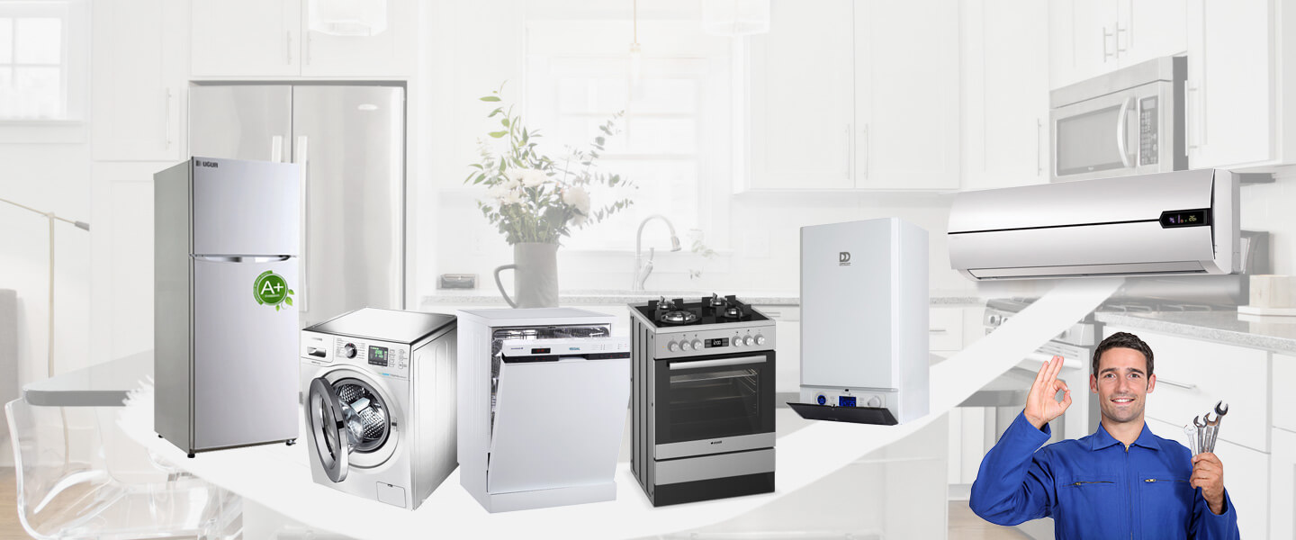 Kemah Electrolux Servisi